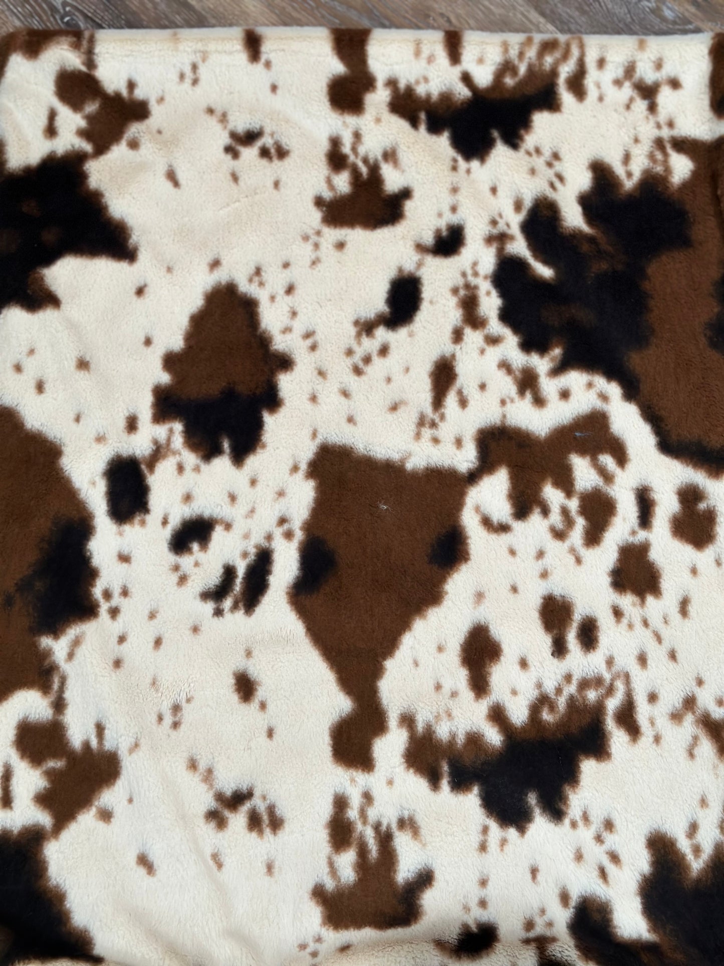 Long Horn with Cowhide Blanket